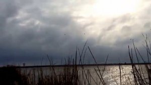 Утиная охота в Волгоградской области на Цаце