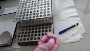Реакции связывания комплимента