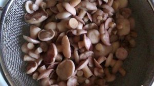 Маринованные маслята