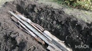 Самый надёжный способ посадки малины.