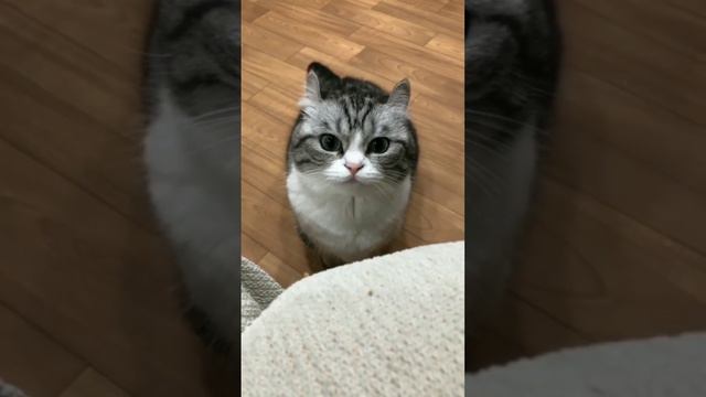 Мама: что тебе купить?
Я: банааанчики