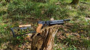 КОРСАР 5.5 в полном фарше )