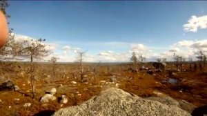 док передача для сна в мире чудес