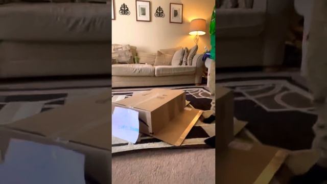 Gabriel the Leprechaun Hunter смотреть онлайн