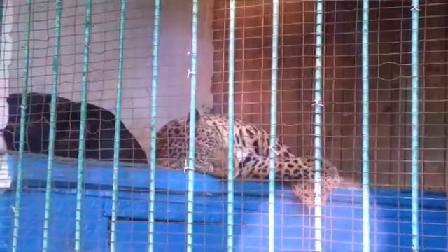 Мое небольшое путишествие✈/ Где я была? смотреть онлайн