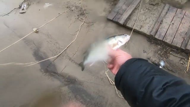 Самая короткая рыбалка. Один удачный заброс. 2 апреля. смотреть онлайн