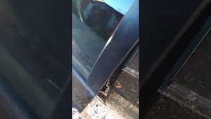 Ремкомплект ограничителей дверей Plastic Auto на Subaru Impreza GH