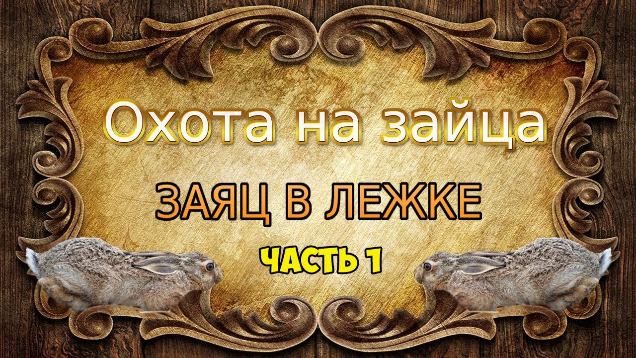 Охота на зайца-русака 2021. Зайцы лежат пока не дашь команду бежать.mp4