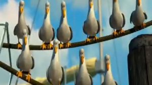 Чайки из м ф  В поисках Немо