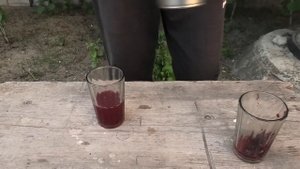 Суперудобрение из золы для ягодных культур