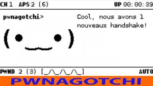 PWNAGOTCHI Крутецкая игрушка для ГИКов