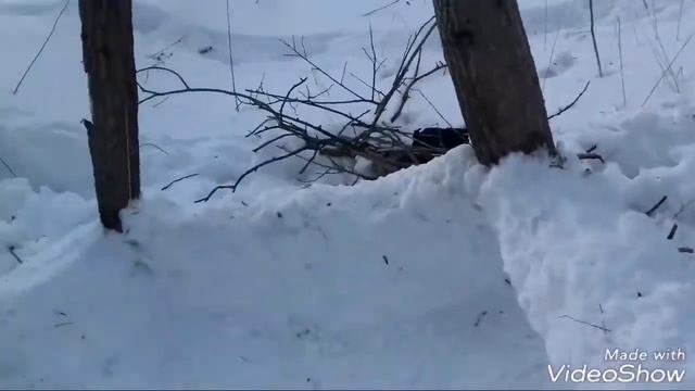 СТРОЮ ДОМ В ОВРАГЕ ЧАСТЬ 1 смотреть онлайн