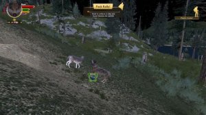 Игра в стае Волков - Играем в WolfQuest: Anniversary Edition