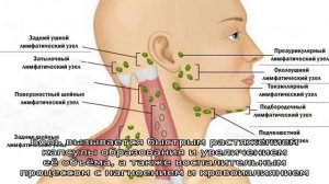 Воспалился лимфоузел за ухом