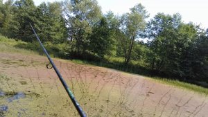 Ловля щуки на хорватское яйцо. Ловля щуки на спиннинг в заросшем пруду.