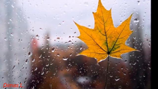 Вальс дождя. Лучшее видео на эту музыку.(720p) смотреть онлайн