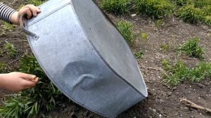 Как Поймать Птицу с Помощью Тазика