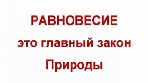 373. Обучающие Видеокурсы по ТИХОМУ СИДЕНИЮ