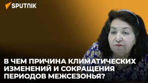 Каким будет лето в Азербайджане и удастся ли избежать глобальной климатической катастрофы