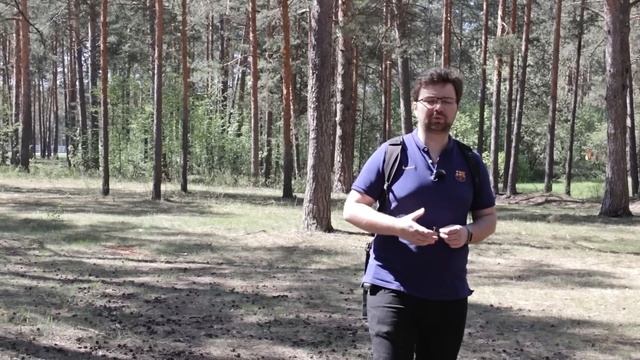 Avito Доставка - отзыв о сервисе, как работает Авито Доставка?