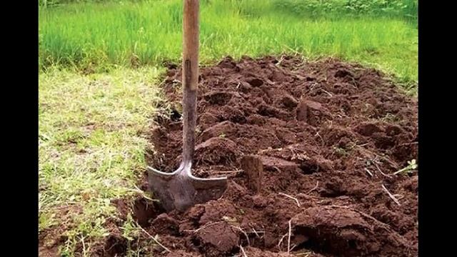 Как улучшить плодородие и состав почвы
