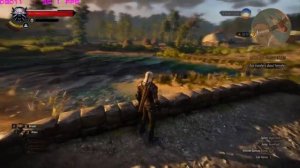 Witcher 3 Wild Hunt - Gaming Test Nvidia GT 1030 | XEON E5440 | Low - Medium - High Settings