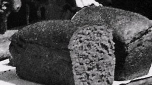 «Детство, опалённое войной...»