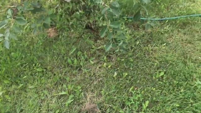 Pump «Техноприбор Ручеёк-1» смотреть онлайн