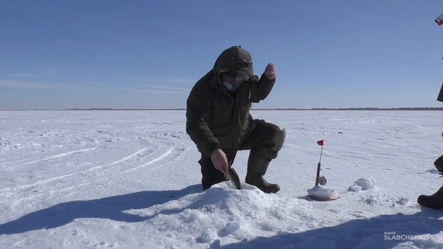 Эта жерлица притягивает судака?! | Зимняя ловля судака на жерлицы | Вячеславское водохранилище смотреть онлайн
