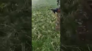 СРОЧНО! Появилось видео в сети! Азербайджанские военные выгоняют армянских военных.