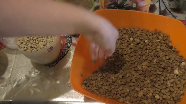 Цеолит ! Посадка орхидей в закрытую систему ! Новый экспериментальный вариант  Часть 1