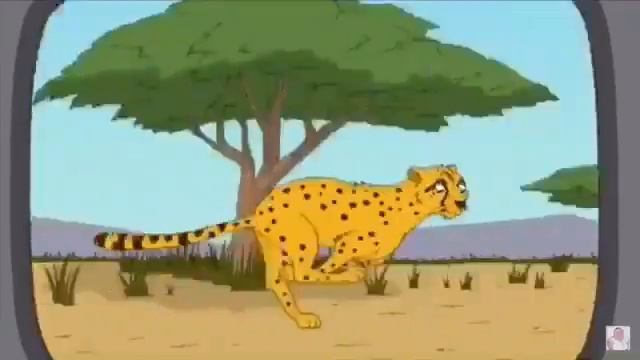 Питер Гриффин смотреть онлайн