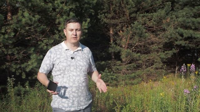 Дом из клеёного бруса / Размещение дома на участке  / Проект Kris Часть 1 / Hasko
