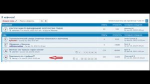 Как болезни вешенки зависят от условий выращивания. Бактериоз на вешенке, личинки насекомых.