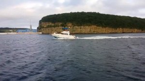 Bayliner 2556 Владивосток