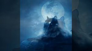 лунный лунный кот 3