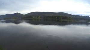 Полчаса рыбалки и жена довольна