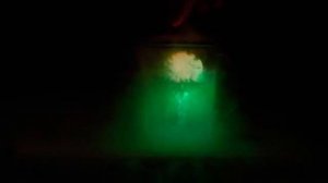 Что Если Положить ЕЖА в Жидкий Азот