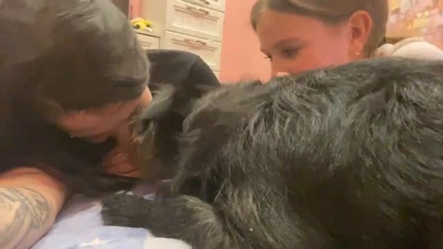 24 часа онлайн смотреть онлайн