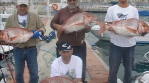 israel fishing forum