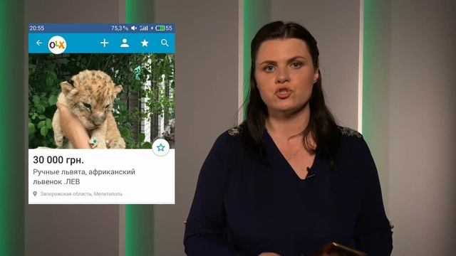 Эксперимент: Как мы купили льва и крокодила смотреть онлайн