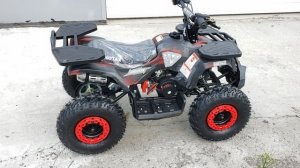 MOTAX GRIZLIK MINI ES BW 50cc обзорное видео ДругАвто