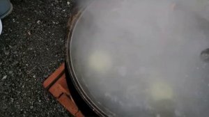 УХА ИЗ ГОРБУШИ НА КОСТРЕ