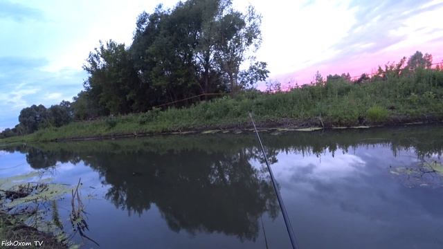 Ловля ЩУКИ на ЖИВЦА с берега летом на УДОЧКУ и ПОСТАВУШКИ смотреть онлайн