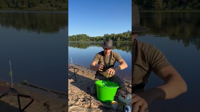 МОЙ РАБОЧИЙ РЕЦЕПТ ПРИКОРМКИ? #рек #fish #fishing #рыбалка #лещ #лещнафидер #реки #фидер