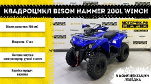 Квадроцикл Bison Hammer 200L Winch