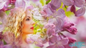 Расскажи моя черемуха. Сергей Славянский. Красивая песня о любви.