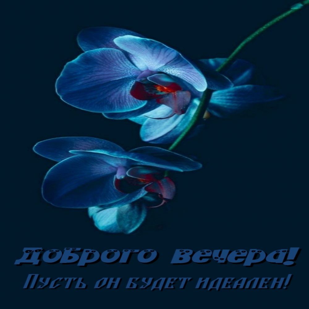 Пожелание Доброго Вечера Чудесного Настроения?