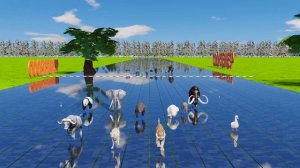 The Great Animal Race 40 Majestic Wild Creatures Compete for Victory!