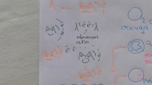 Активные формы кислорода - определение